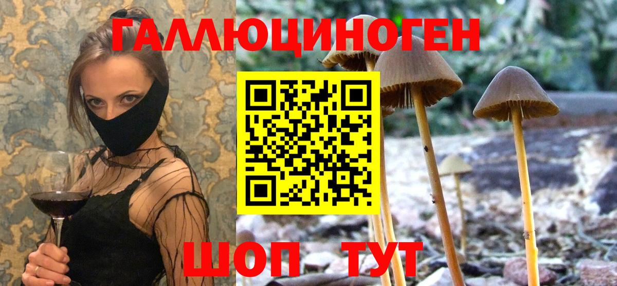 Тихвин  Галлюциногенные грибы GOLDEN TEACHER  где купить наркоту  Галлюциногенные грибы Magic Shrooms  Вход с VPN 